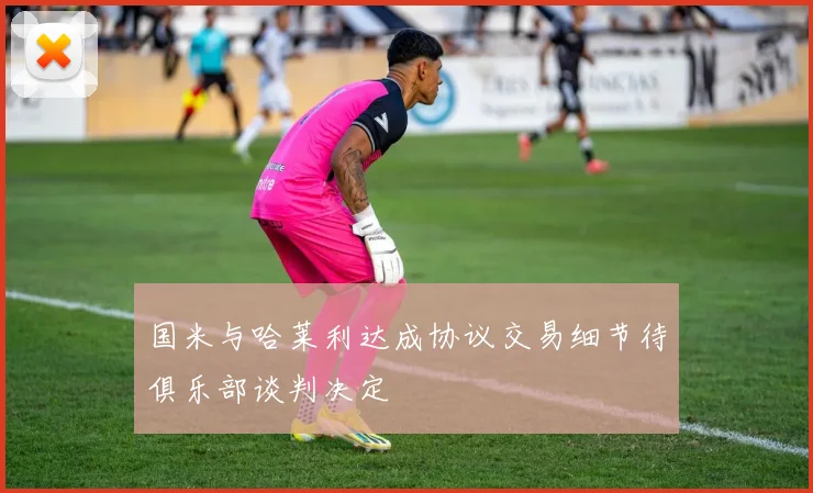 国米与哈莱利达成协议交易细节待俱乐部谈判决定